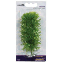 Muovikasvi hornwort mini 10cm imukuppi - Marina