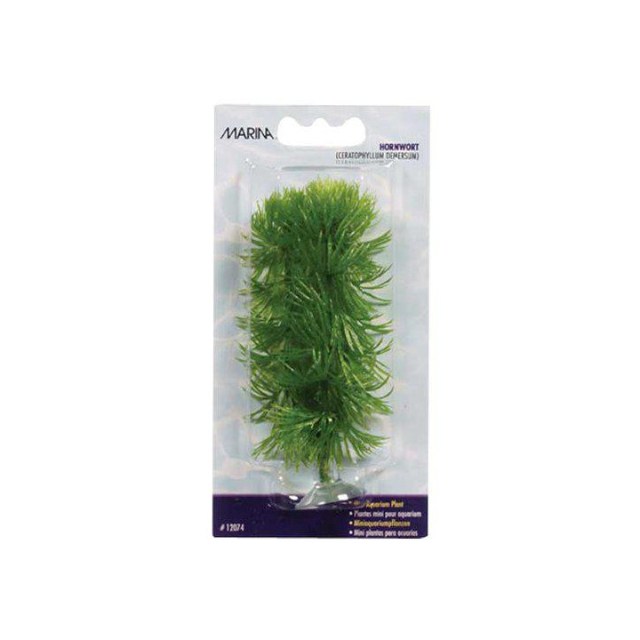Muovikasvi hornwort mini 10cm imukuppi - Marina