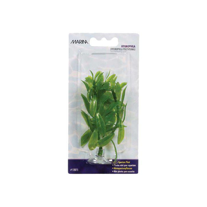 Muovikasvi hygrophila mini 10cm imukuppi - Marina