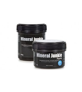 GlasGarten Mineral Junkie, Pearls 100 g