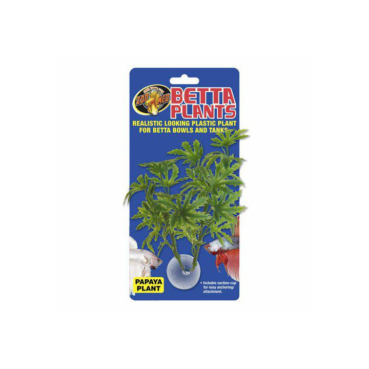 ZOO betta plantpapaya - Zoo Med
