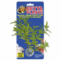 ZOO betta plantmaple leaf - Zoo Med