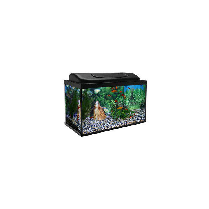 63L. akvaario basic 60x30x35 musta fmp. valaisin - Akwaland