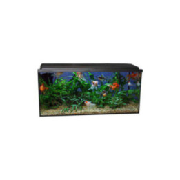 343L. akvaario basic 125x50x55 musta fmp. valaisin - Akwaland