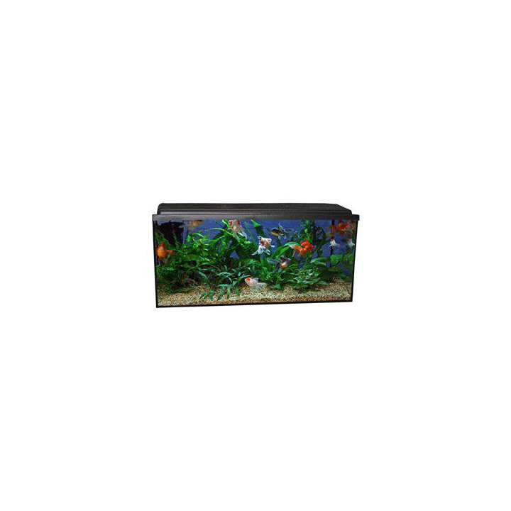 450L. akvaario basic 150x50x60 musta fmp. valaisin - Akwaland