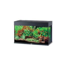 JUWEL akvaario LED rio 125 musta 81x36x 50cm 125l - JUWEL