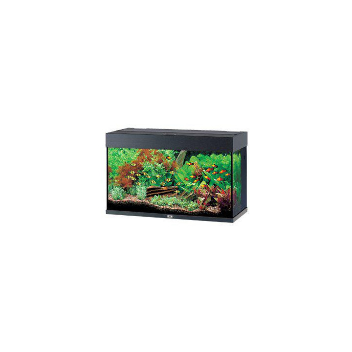 JUWEL akvaario LED rio 125 musta 81x36x 50cm 125l - JUWEL
