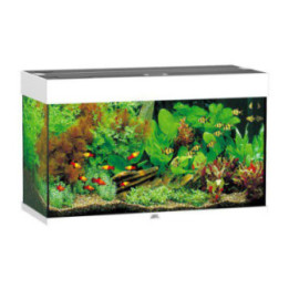 JUWEL akvaario LED rio 125 valkoinen 81x36x 50cm 125l - JUWEL
