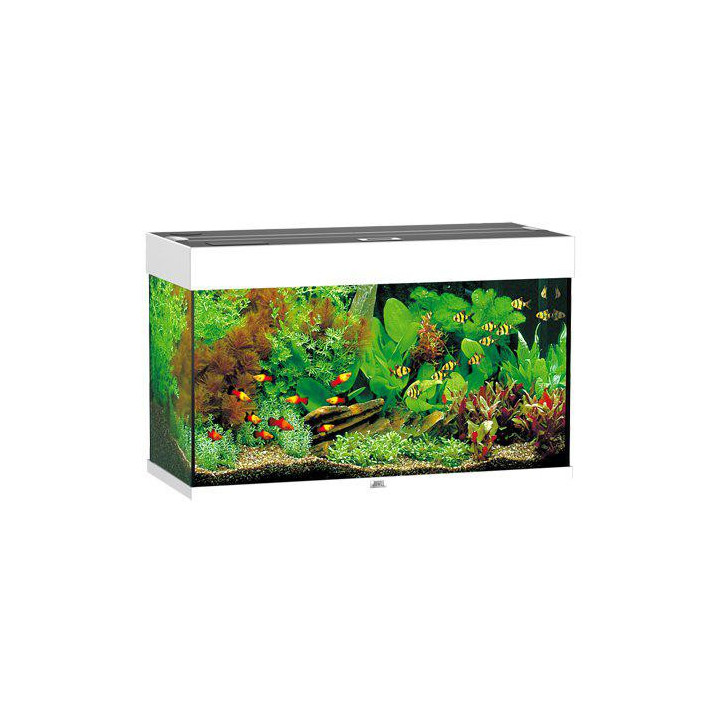 JUWEL akvaario LED rio 125 valkoinen 81x36x 50cm 125l - JUWEL