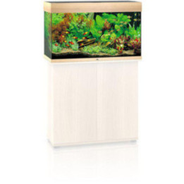 JUWEL akvaario LED rio 125 ek 81x36x 50cm 125l - JUWEL
