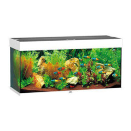 JUWEL akvaario LED rio 180 valkoinen 101x41x 50cm 180l - JUWEL