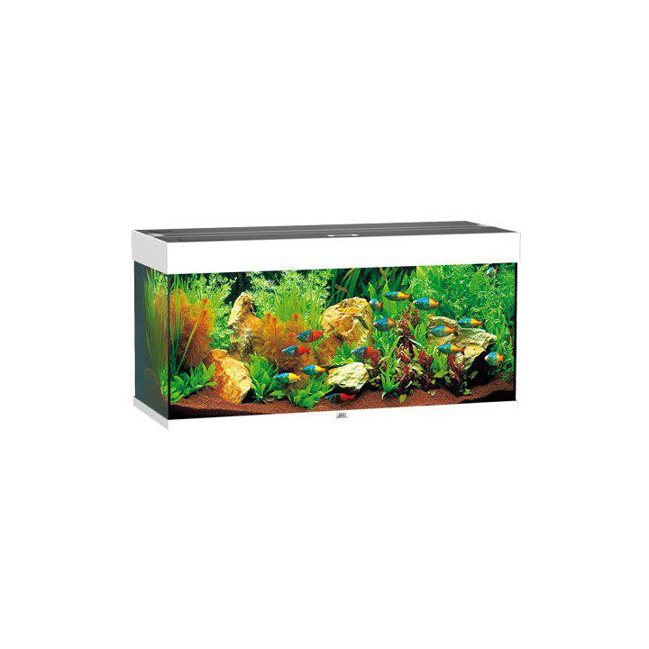 JUWEL akvaario LED rio 180 valkoinen 101x41x 50cm 180l - JUWEL