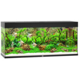 JUWEL akvaario LED rio 240 musta 121x41x 55cm 240l - JUWEL
