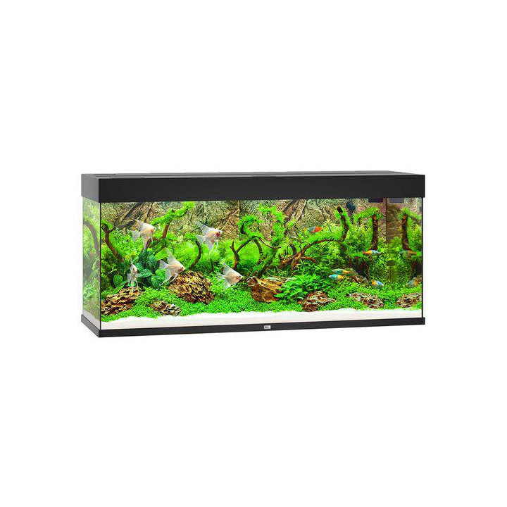 JUWEL akvaario LED rio 240 musta 121x41x 55cm 240l - JUWEL