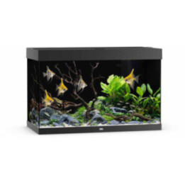 JUWEL akvaario LED rio 290 musta 101x51x 66cm 290l - JUWEL