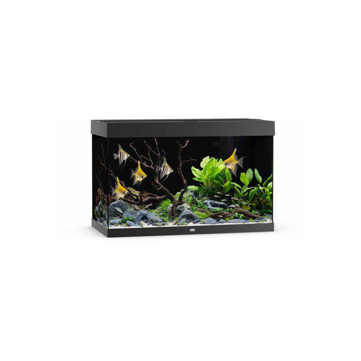 JUWEL akvaario LED rio 290 musta 101x51x 66cm 290l - JUWEL
