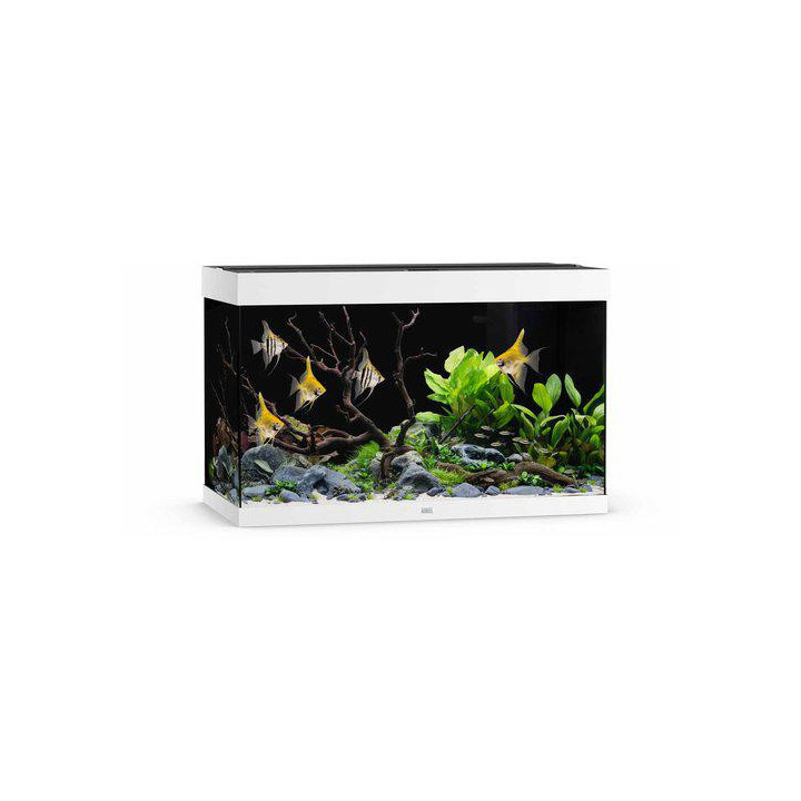 JUWEL akvaario LED rio 290 valkoinen 101x51x 66cm 290l - JUWEL