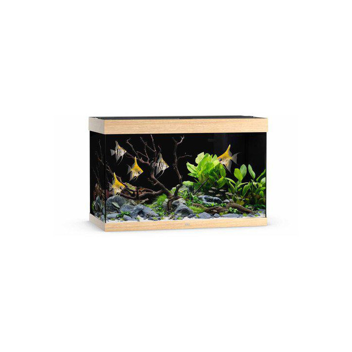 JUWEL akvaario LED rio 290 ek 101x51x 66cm 290l - JUWEL