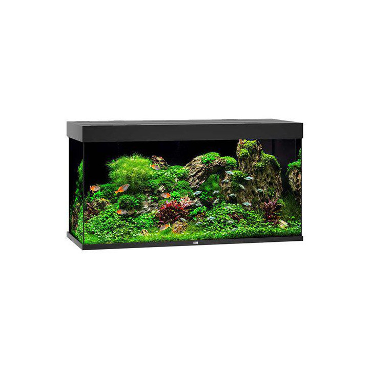 JUWEL akvaario LED rio 350 musta 121x51x 66cm 350l - JUWEL