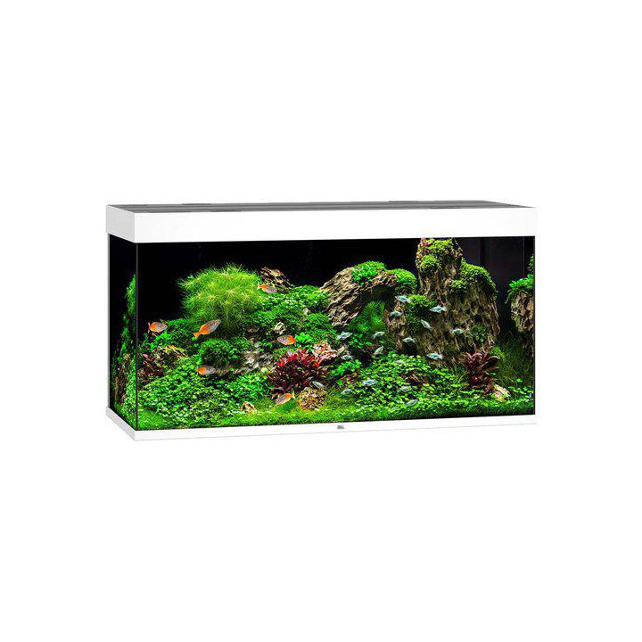 JUWEL akvaario LED rio 350 valkoinen 121x51x 66cm 350l - JUWEL