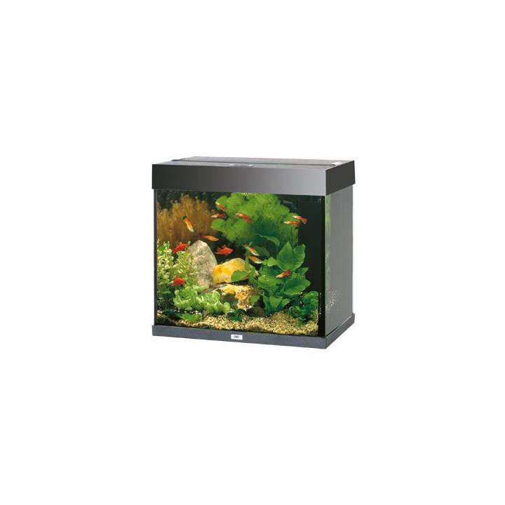 JUWEL akvaario LED lido 120 musta 61x41x 58cm 120l - JUWEL