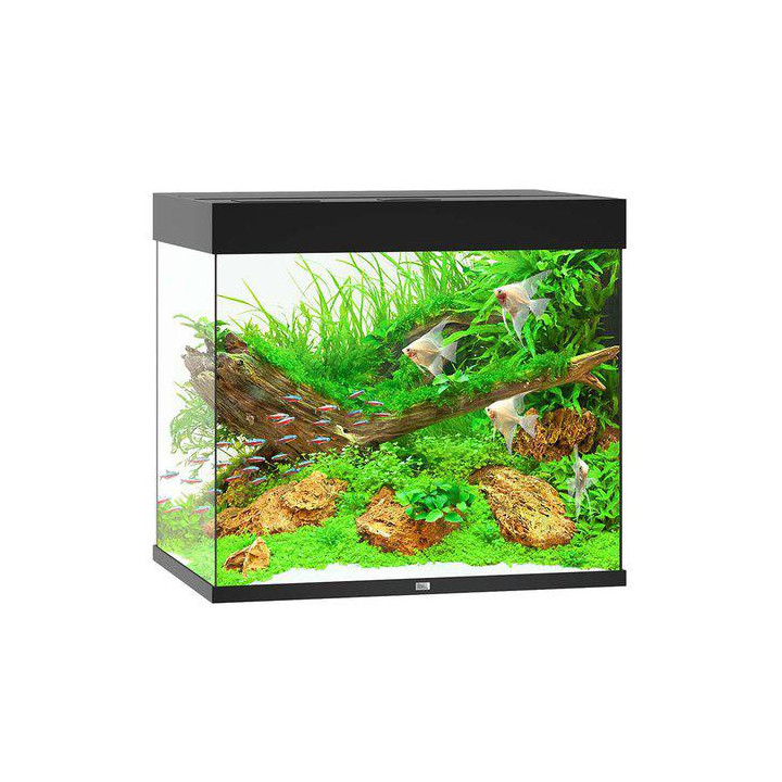 JUWEL akvaario LED lido 200 musta 70x51x 65cm 200l - JUWEL