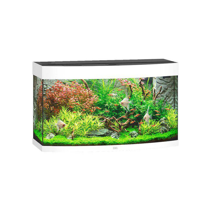 JUWEL akvaario LED vision 180 kaareva vit92x41x 55cm 180l - JUWEL