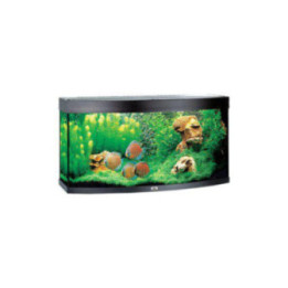 JUWEL akvaario LED vision 260 kaareva musta 121x46x 64cm 260l - JUWEL