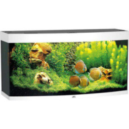 JUWEL akvaario LED vision 260 kaareva vit121x46x 64cm 260l - JUWEL