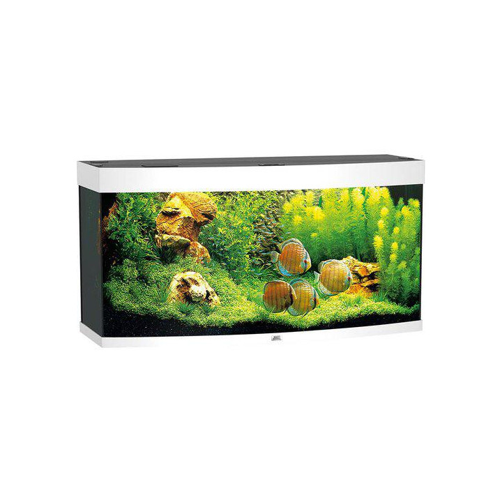 JUWEL akvaario LED vision 260 kaareva vit121x46x 64cm 260l - JUWEL