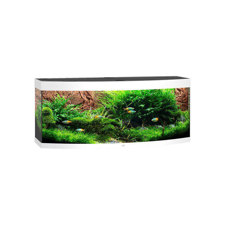 JUWEL akvaario LED vision 450 kaareva vit151x61x 64cm 450l - JUWEL