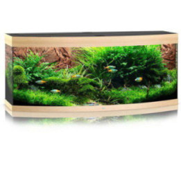 JUWEL akvaario LED vision 450 kaareva ek 151x61x 64cm 450l - JUWEL