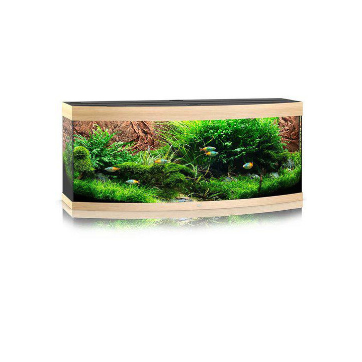 JUWEL akvaario LED vision 450 kaareva ek 151x61x 64cm 450l - JUWEL