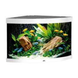 JUWEL akvaario LED trigon 190 kulma valkoinen 98.5x70x 60cm 190l - JUWEL