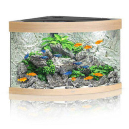 JUWEL akvaario LED trigon 190 kulma ek 98.5x70x 60cm 190l - JUWEL