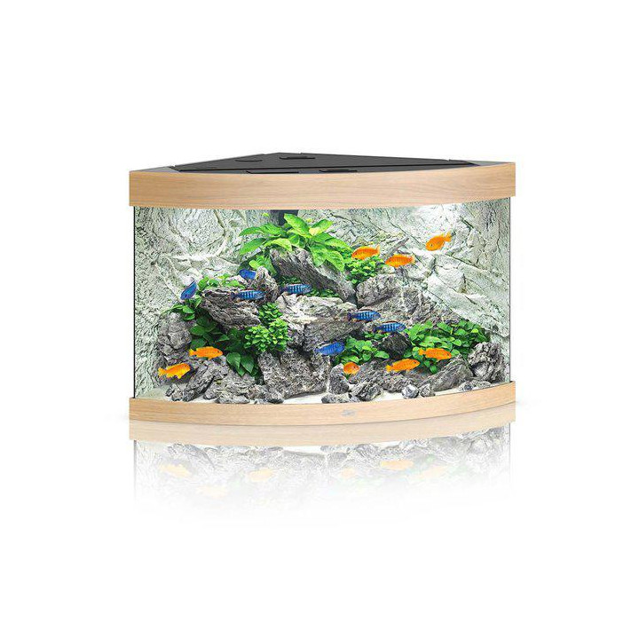 JUWEL akvaario LED trigon 190 kulma ek 98.5x70x 60cm 190l - JUWEL
