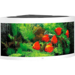 JUWEL akvaario LED trigon 350 kulma valkoinen 123x87x 65cm 350l - JUWEL