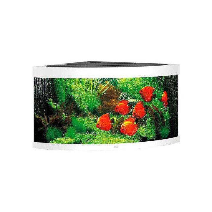 JUWEL akvaario LED trigon 350 kulma valkoinen 123x87x 65cm 350l - JUWEL