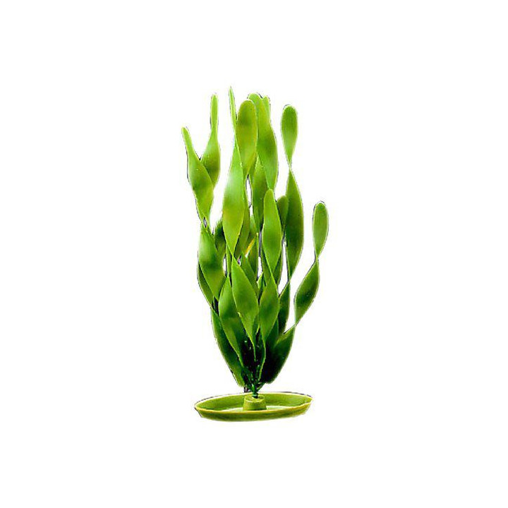 Muovikasvi jungle vallisneria 20cm - Marina