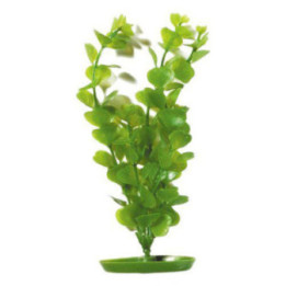 Muovikasvi moneywort 20cm - Marina