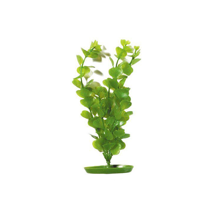 Muovikasvi moneywort 20cm - Marina