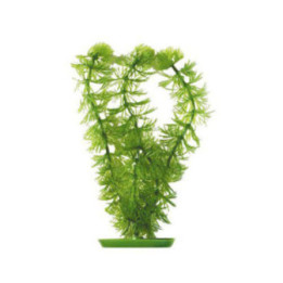 Muovikasvi hornwort 13cm - Marina