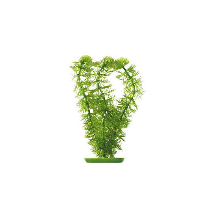 Muovikasvi hornwort 13cm - Marina