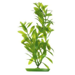 Muovikasvi hygrophila 13cm - Marina