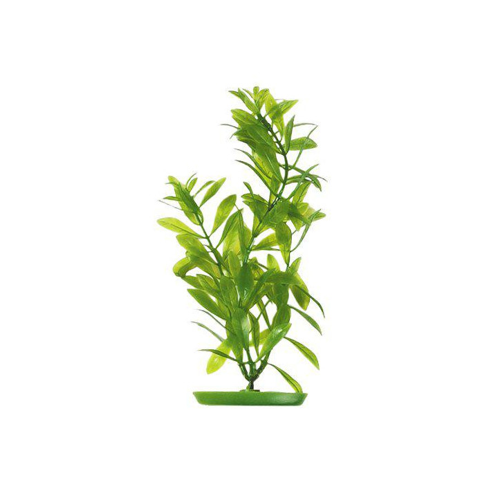 Muovikasvi hygrophila 13cm - Marina