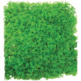 Kasvimatto plast 25x 25cm -