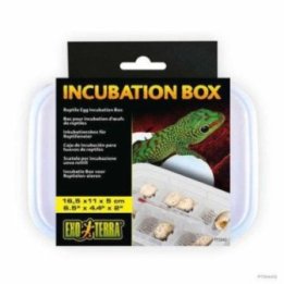 Exoterra haudontakone laatikko-Reptile egg -