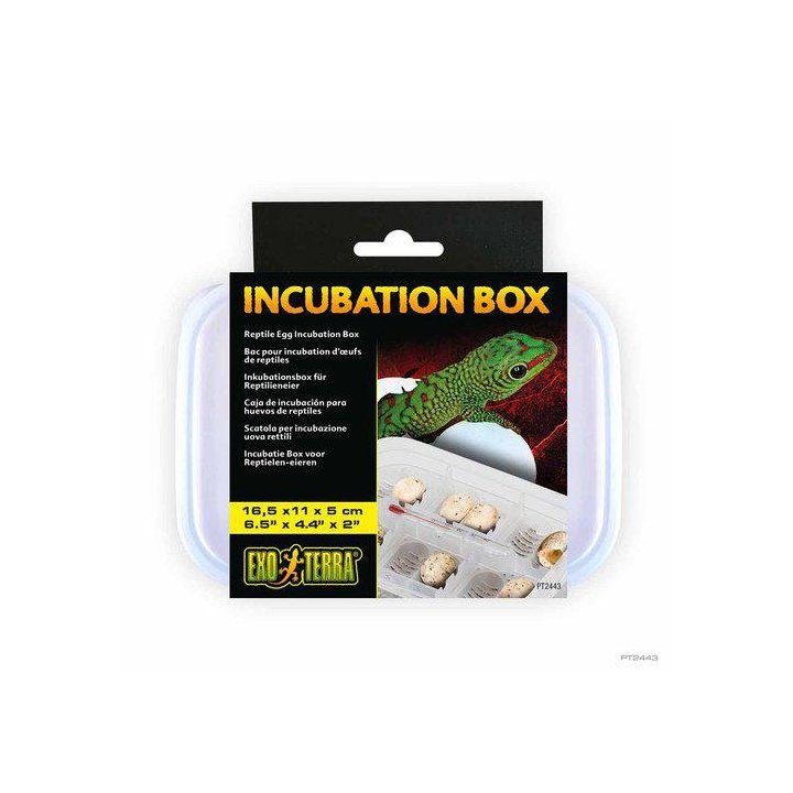 Exoterra haudontakone laatikko-Reptile egg -
