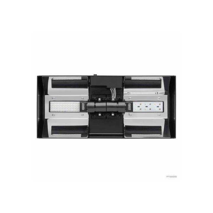 Exoterra ramp 45x20x9CM compact top 2 lamput -