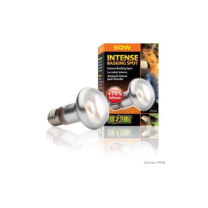 Exoterra intense basking spot 50W s20 E27 'oranssi -
